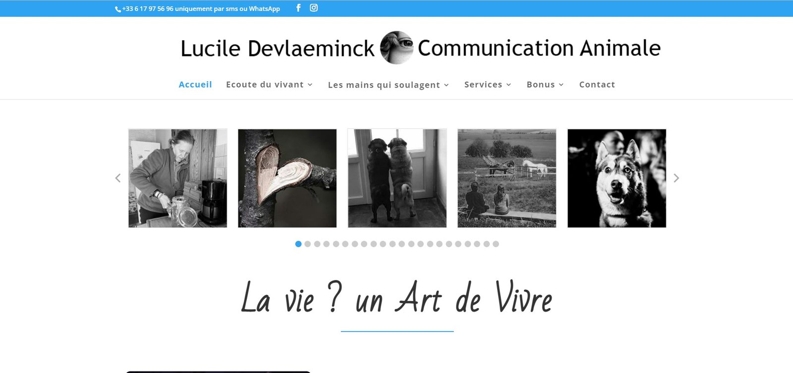 LUCILE DEVLAEMINCK - ARTS TEC - La technologie au service des arts